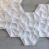 CWW-Coral - Image 4