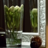 CWC-Z11 - Image 2